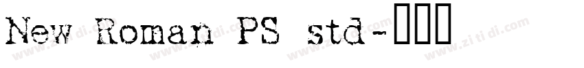 New Roman PS std字体转换